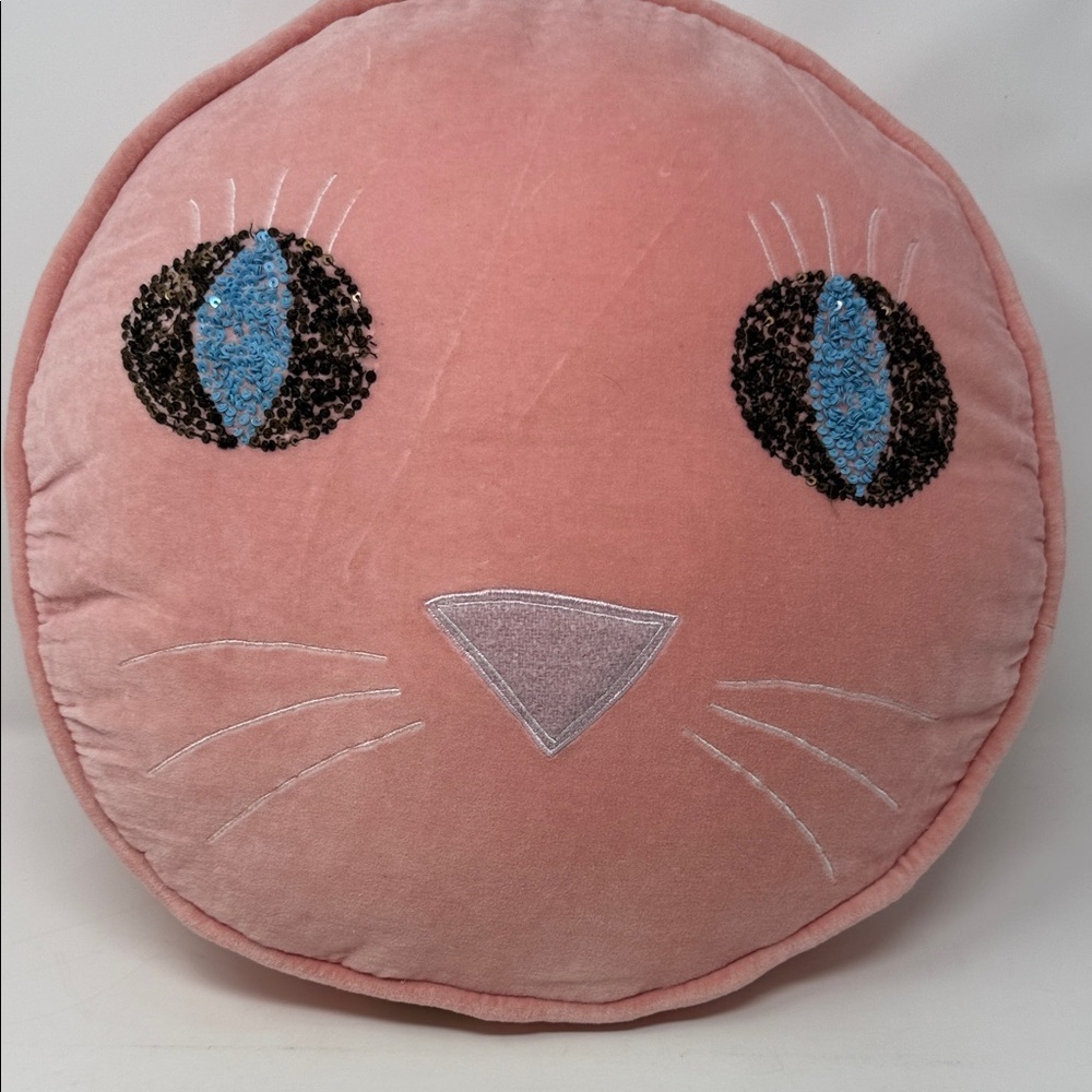 Pink Cat Face Pillow 16”long x 2” thick Very Soft. -zipper on back. Kids ToY